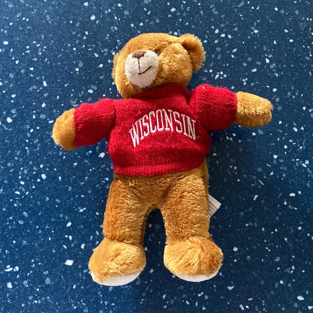 Stuffed bear from Wisconsin
